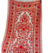 Orginal Kashmiri Poshmina Shawl For Women Winter icon