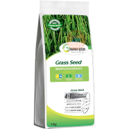 Original and Pure Bermuda Grass Seeds 1gm Re-Pack image
