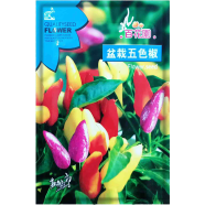 Ornamental Chili Seed image