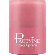 PAGE VINE Lip Serum Twist Lipstick Lip Gloss Moisturizing Fade Lip Pattern Lip Gloss-03 Rusty Red image