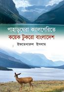 PaharGhera Celgerite koyek Tukro Bangladesh image