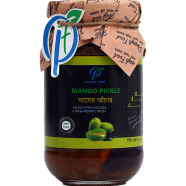 Panash Food Mango Pickle (Amer Achar) Toak - 400 gm