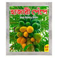 Papaya Seeds (Perennial Hybrid Variety) - 25 Plus Pcs image
