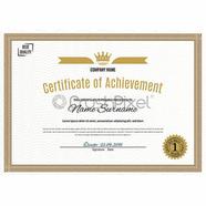 PaperTree Laid Brilliant White Certificate Paper- 10 PCS