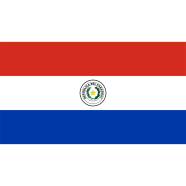 Paraguay Flag FIFA World Cup 2026 image