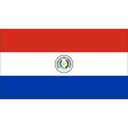 Paraguay Flag FIFA World Cup 2026 Printed Polyester Fabric image