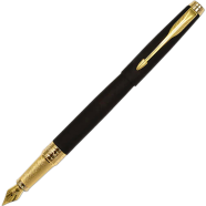 Parker Aster Fountain Pen image