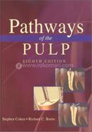 Pathways Of The Pulp image
