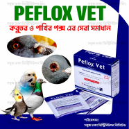 Peflox Vet Pack For Any Bird Pox Medicine - 10gm image