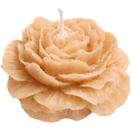 Peony Flower Scented Candle – Soft Light, Sweet Sandalwood Fragrance icon