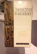 Perspectives in Sociology image