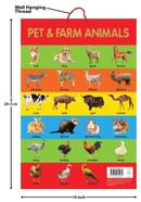 Pet image