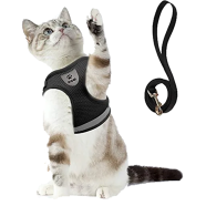 Pet Harnesses Cat Traction Lash Vest Cat Chest Lash Is Reflective At Night To Prevent Breaking Away From The Walking Cat Leash image