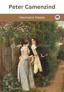 Peter Camenzind image