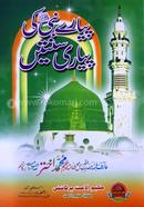 Peyare Nobi Peyari Sunnate (Urdu) image