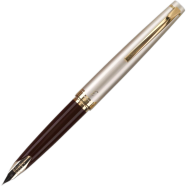 Pilot E95s Fountain Pen image