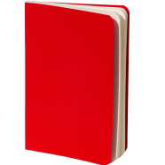 Pocket Book Red Notebook image
