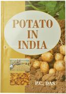 Potato in India image
