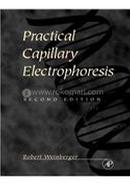 Practical Capillary Electrophoresis image