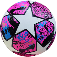 Premier League Official Football icon