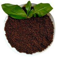 Premium Sreemangal Black Tea -250 gm image