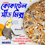 Premium Summer Seed mix Food for Cockatail and Parrot - 1KG icon