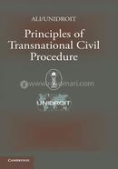 Principles of Transnational Civil Procedure image