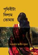 Prithibita dilam tomay image