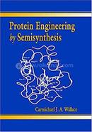 Protein Engineering by Semisynthesis image