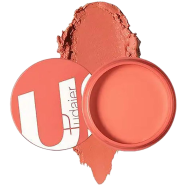 Pudaier Facial Blush Palette Long Lasting Highlighter Powder image