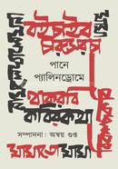 Payne PaylinDrome image