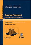 Quantum Transport image