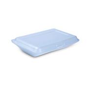 RFL Dispo Snacks Box (Large Size)100 Pcs Set-White - 838217