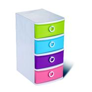 RFL Executive Organizer - Rainbow image
