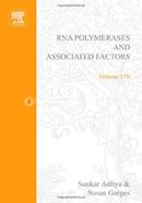 RNA Polymerase and Associated Factors image