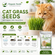 Rabbit Cat Grass Foliage Plant Bonsai Seeds 2200pcs image