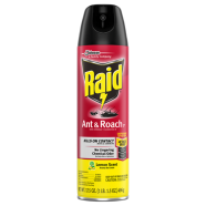 Raid Lemon Scent Ant and Roach 496 gm - 153800050 icon