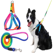 Rainbow Colour Dog Harness and Leash Set Adjustale Dogs image