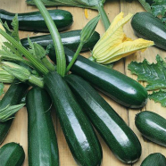 Rare Garden Zucchini Squash Seeds - 10 Pcs image