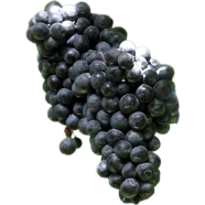 Rare Sweet Black Finger Grape Seeds - 20 Pcs image