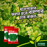 Aromatic Coriander Seeds image