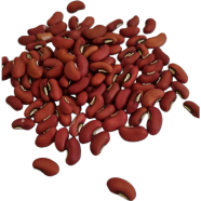 Red Hybrid Long Bean - 10 Pcs Seeds image