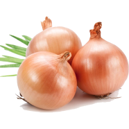 Red Hybrid Onion Seeds 1 gm Re-Pack image
