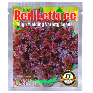 Red Lettuce Seeds 0.1gm (China) image