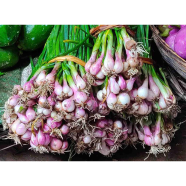 Red Onion Seeds - 70 Pcs image