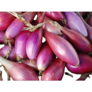 Red Onion Tropea Rossa Lunga - Allium Cepa Seed 100 Pcs Bag image