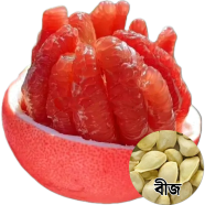 Red Thai Grapefruit Jambura Seeds image