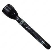 Reeon Rechargeable Torch Light RN-103LH