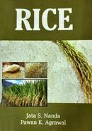 Rice image
