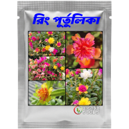Ring Purtulika Moss Rose Flower Seeds 100Pcs Plus (Thai) 10 Color Mix image